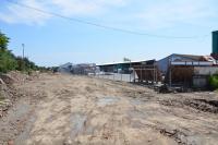 Imagine atasata: DSC_2229.JPG